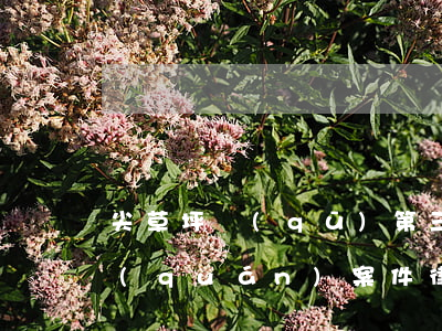 尖草坪區(qū)第三方債務(wù)債權(quán)案件律師-尖草坪區(qū)律師事務(wù)所