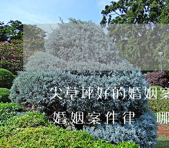 尖草坪好的婚姻案件律師哪家好(尖草坪好的婚姻案件律師哪家好)