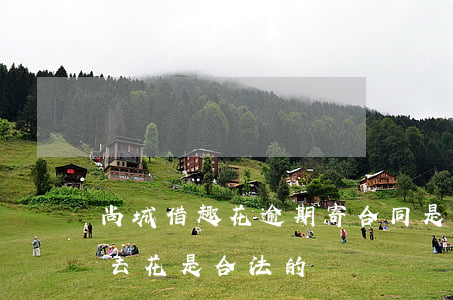 尚城借趣花逾期寄合同是不是真的-尚誠借去花是合法的嗎?