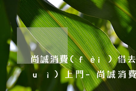 尚誠消費(fèi)借去花逾期多久會(huì)上門-尚誠消費(fèi)金融借去花逾期