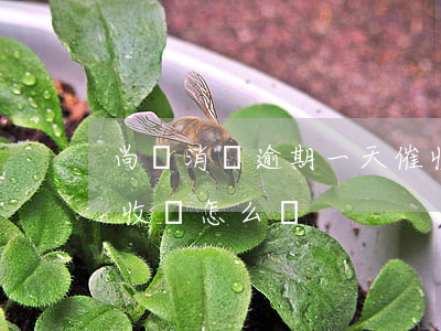尚誠消費逾期一天催收(尚誠消費逾期一天催收會怎么樣)
