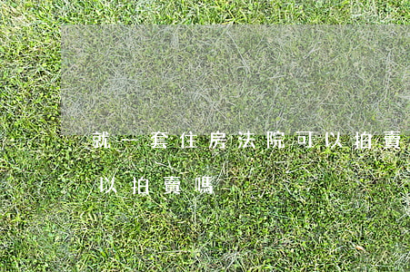就一套住房法院可以拍賣嗎(一套房子法院可以拍賣嗎?)