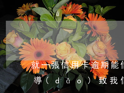 就一張信用卡逾期能借到錢嗎(別人借錢不還導(dǎo)致我信用卡逾期)