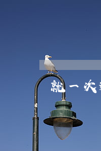 就一次逾期還款沒事吧(逾期多次但是還清了)
