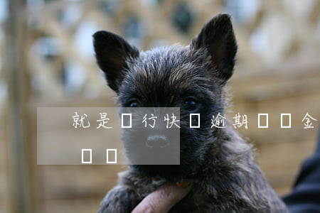 就是銀行快貸逾期違約金(快貸還信用卡算違約嗎)