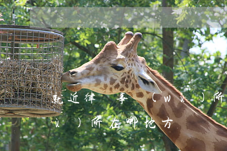 就近律師事務(wù)所位置(律師事務(wù)所在哪地方)