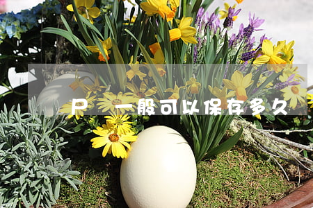 尸體一般可以保存多久