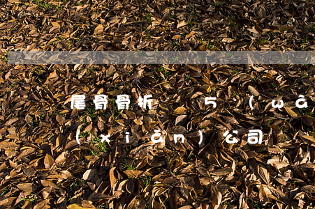 尾骨骨折賠償5萬(wàn)(尾骨骨折保險(xiǎn)公司賠償標(biāo)準(zhǔn))