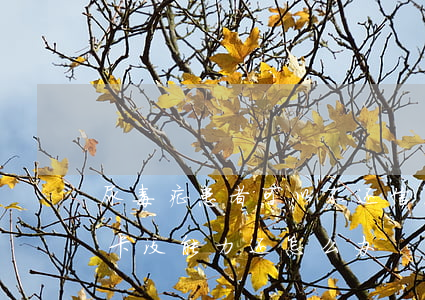 尿毒症患者可以不还信用卡(得了尿毒症信用卡没能力还怎么办)