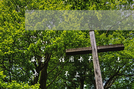 尿毒癥信用卡不還會怎樣(尿毒癥患者欠信用卡錢還不上)