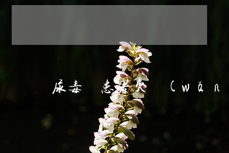 尿毒癥患者欠網(wǎng)貸