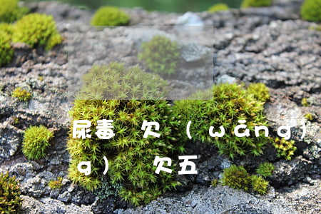 尿毒癥欠網(wǎng)貸5萬(網(wǎng)貸欠五萬)