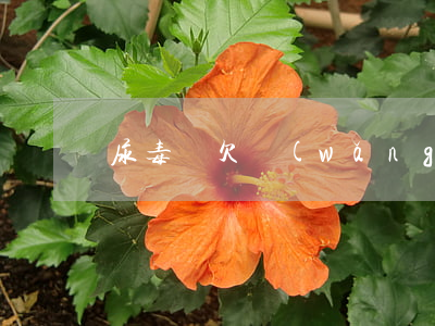 尿毒癥欠網(wǎng)貸(得了尿毒癥了)
