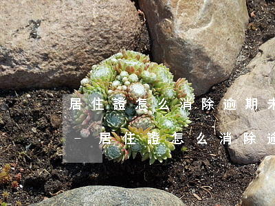 居住證怎么消除逾期未檢的狀態(tài)-居住證怎么消除逾期未檢的狀態(tài)呢