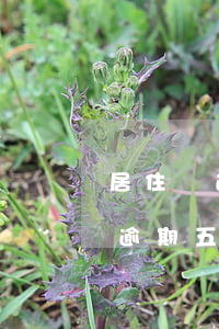 居住證逾期五天補辦多久能辦下來-居住證逾期五天補辦多久能辦下來啊