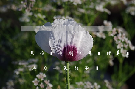 居住證逾期半月辦理算連續(xù)（居住證逾期一天能刷嗎）