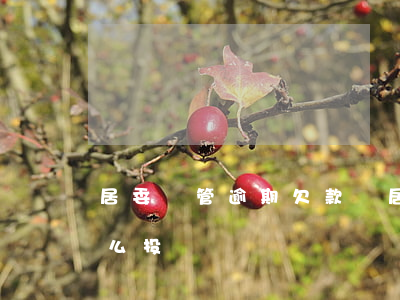 居委會管逾期欠款嗎(居委會管逾期欠款嗎怎么投訴)