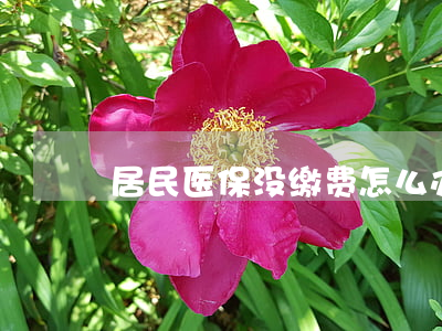 居民医保没缴费怎么办