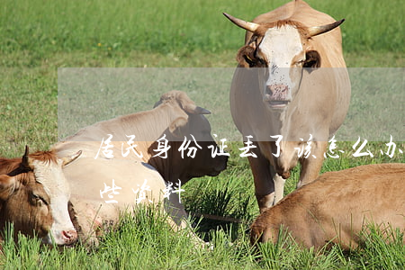 居民身份证丢了该怎么办（补办身份证需要哪些资料）