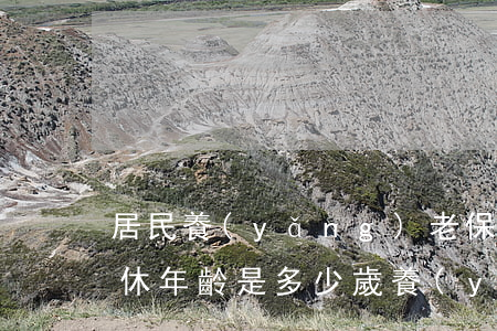 居民養(yǎng)老保險(xiǎn)退休年齡是多少歲（養(yǎng)老金的概念）