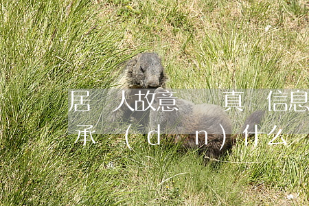 居間人故意隱瞞真實信息應(yīng)該承擔(dān)什么責(zé)任
