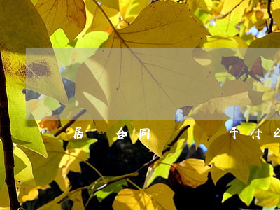 居間合同糾紛屬于什么
