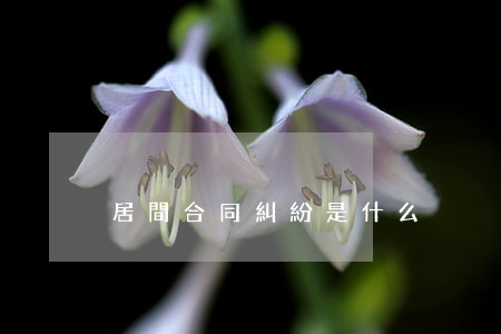 居間合同糾紛是什么