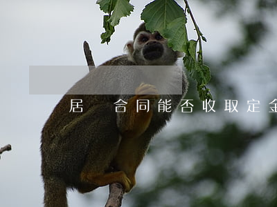 居間合同能否收取定金
