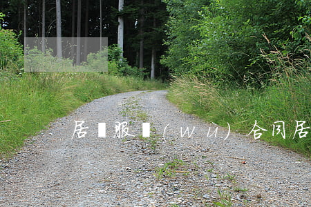 居間服務(wù)合同(居間合同范本)