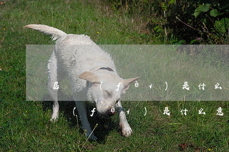 居間費(fèi)是什么意思(建筑工程居間費(fèi)是什么意思)