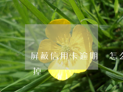 屏蔽信用卡逾期會怎么樣(信用卡逾期可以抹掉嗎)