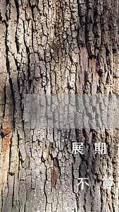 展期貸款逾期應(yīng)分類在(展期算不算逾期)