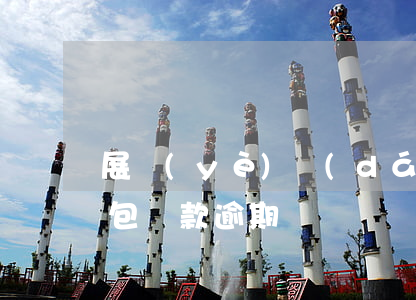 展業(yè)達(dá)人錢(qián)包還款逾期