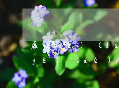 展業(yè)達(dá)人錢包倒了（展業(yè)達(dá)人錢包逾期會(huì)被起訴嗎）