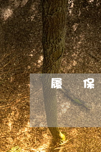 履約保證金提交時間