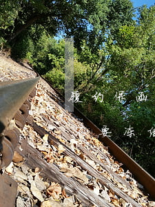 履约保函保证金法院可以冻结吗(履约保函要不要冻结对方账户里的钱)