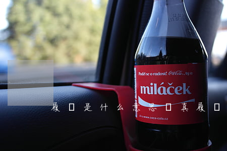 履職是什么意思(認真履職是什么意思)