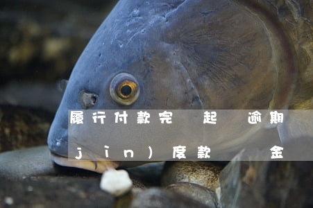 履行付款完畢起訴逾期違約金 逾期支付進(jìn)度款違約金
