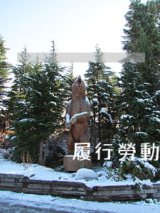 履行勞動(dòng)法私企能例外嗎