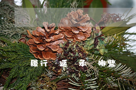 履行遲延應承擔哪些違約責任