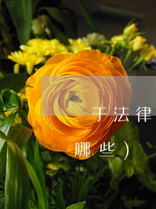 屬于法律法規的有(我國現行的法律法規有哪些)