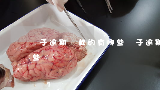 屬于逾期貸款的有哪些(屬于逾期貸款的有哪些)