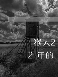 屬猴人2022年會離婚嗎(屬猴的在2022年的運勢好不好呢)