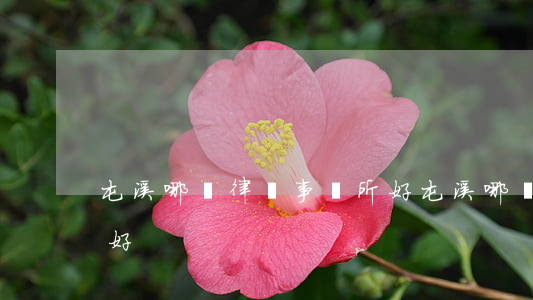 屯溪哪個律師事務所好(屯溪哪個律師事務所好)