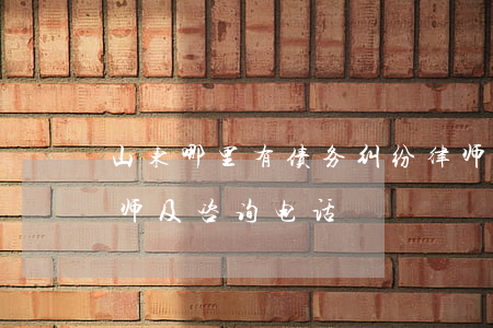 山东哪里有债务纠纷律师费用(山东有名的律师及咨询电话)