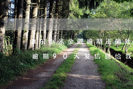 山东小米金融逾期正确处理方案-小米金融逾期90天发信息给我说要起诉我