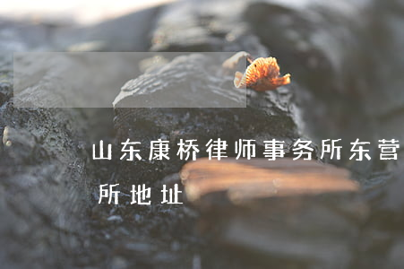 山东康桥律师事务所东营(东营康桥律师事务所地址)