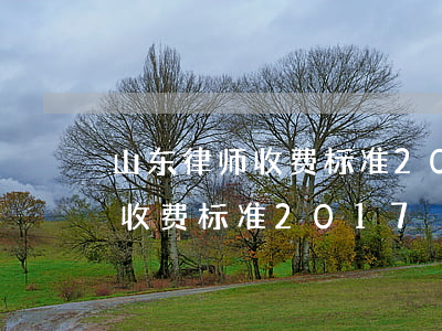 山东律师收费标准2018速算(山东省律师收费标准2017)