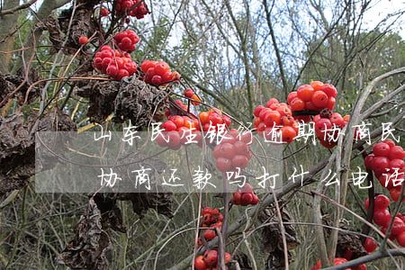 山东民生银行逾期协商 民生银行卡逾期,可以协商还款吗打什么电话