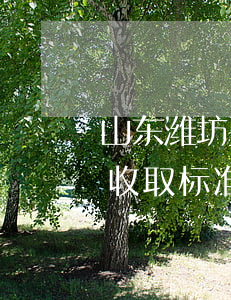 山东潍坊要账律师怎么收费的(潍坊律师费用收取标准)